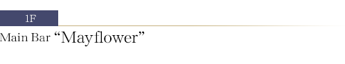 Main Bar Mayflower