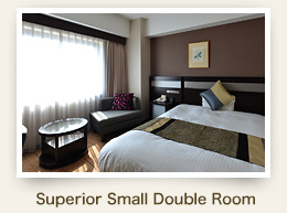 Smalldouble Room