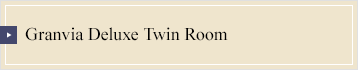 Granvia Deluxe Twin Room
