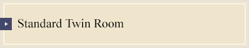 Standard Twin Room
