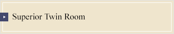Superior Twin Room