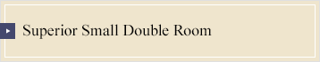 Superior Small Double Room