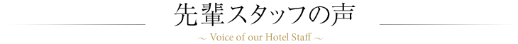 先輩スタッフの声