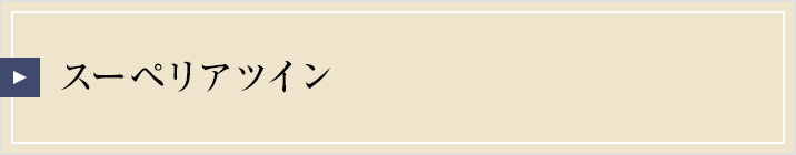 スーペリアフロアツイン